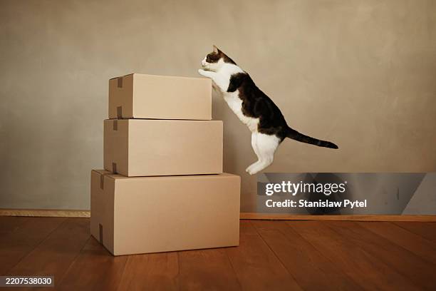 Attachment gettyimages-2207538030-612x612.jpg